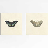 Two Butterflies Gallery Wall Set
