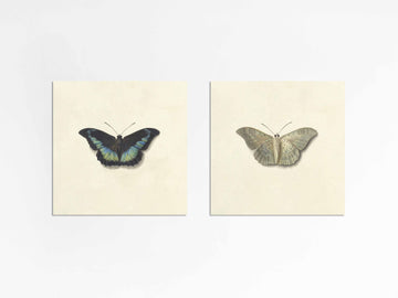 Two Butterflies Gallery Wall Set