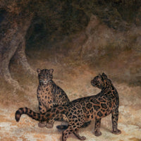 Waiting Leopards