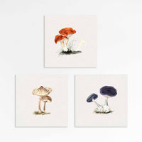 Mushrooms Gallery Wall Set