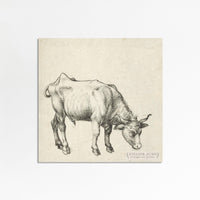 Bull Sketch